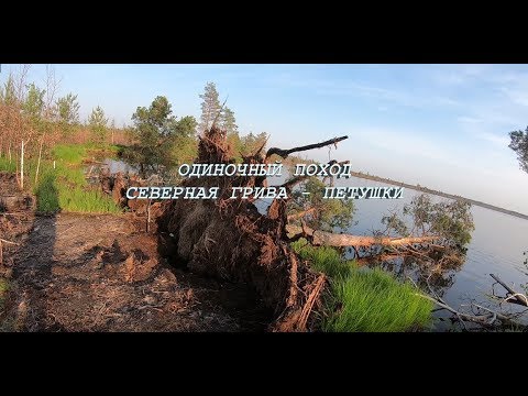 Видео: Поход Северная Грива - Петушки
