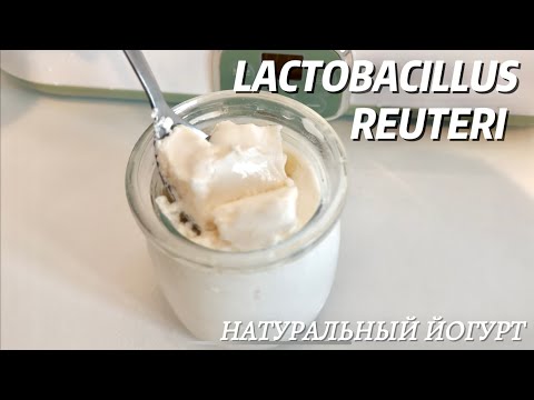 Видео: Волшебный ЙОГУРТ с L.reuteri реутери по рецепту Берг