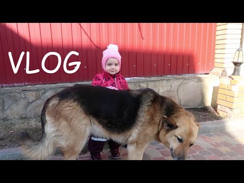 Видео: VLOG Как я няньчусь с Алисой. Получится ли убрать в комнате?
