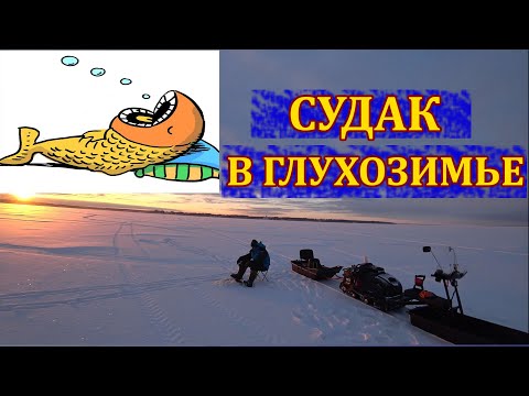 Видео: Пытаемся поймать судака в глухозимье