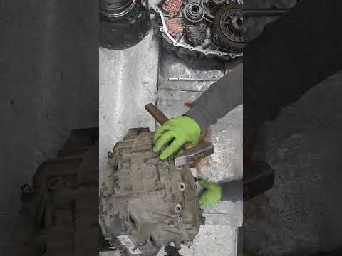 Видео: 29 жовтня 2025 р.