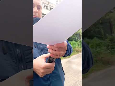 Видео: 21 августа 2025 г.