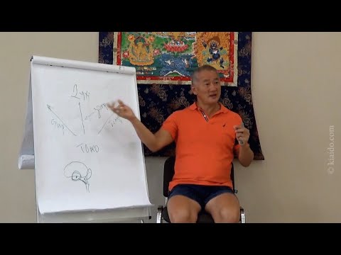 Видео: Архетипы личности: шесть основных архетипов и их связь с жизненно важными органами