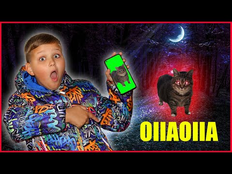 Видео: OIIA CAT в РЕАЛЬНОЙ ЖИЗНИ ГОНИТСЯ ЗА МНОЙ! ЗЛОЙ КОТ ОИИА!