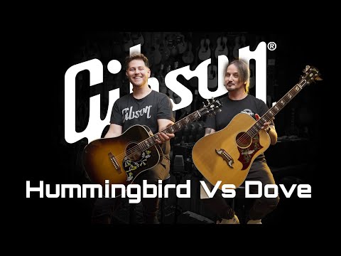 Видео: Gibson Dove против Hummingbird | Mooloolaba Music