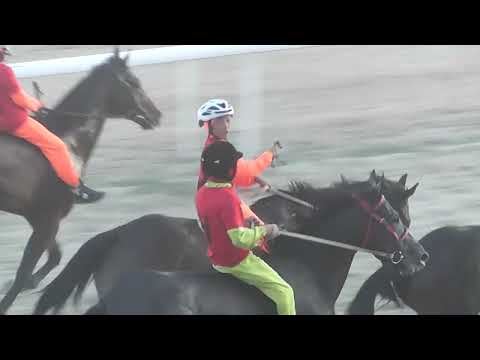 Видео: Аламан