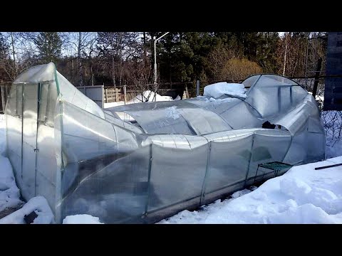 Видео: КАК ТАКОЕ ВОЗМОЖНО??? ТЕПЛИЦА -40 СИБИРЬ.