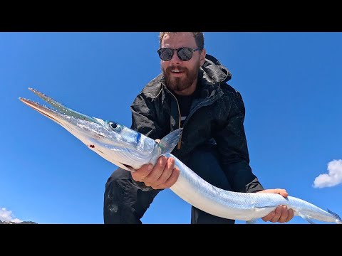 Видео: 3 рекорда за один день┃Лучшая рыбалка на Бали