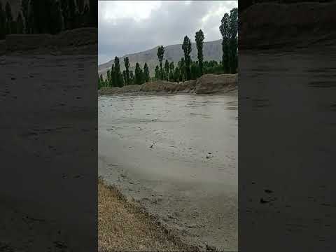 Видео: 8.07.2024 СЕЛ ДАР ДЕҲАИ БОҒЧА Ҷ.Д.ШИНГ. Ш. ПАНҶАКЕНТ