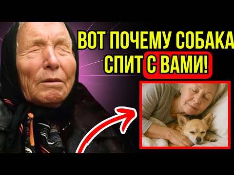 Видео: Почему собака спит с вами? | Ответ Бабы Ванги вас удивит