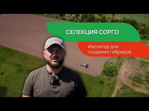 Видео: СЕЛЕКЦИЯ СОРГО - ПОСЕВ | СЕЛЕКЦИОННАЯ СТАНЦИЯ ООО "АГРОПЛАЗМА"