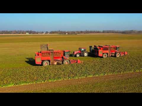 Видео: Гродненской области - 80 лет