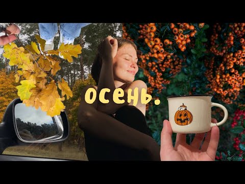 Видео: Vlog 23 / 🍂 осенние дела, прогулки, мысли