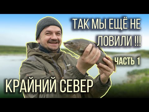 Видео: Супер рыбалка на хариуса ч1