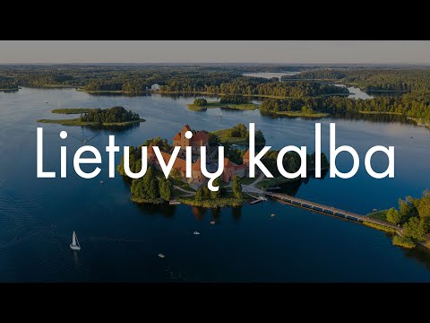 Видео: Литовский язык? Сейчас объясню!