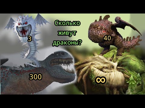 Видео: Сколько же живут драконы во вселенной КПД?