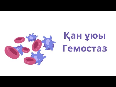 Видео: Қан ұю механизмі. Гемостаз жүйесі.