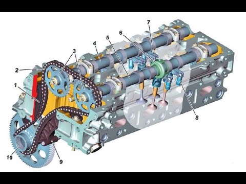 Видео: Двигатель Mercedes OM651. 10 Моторов с гидроударами из Германии 