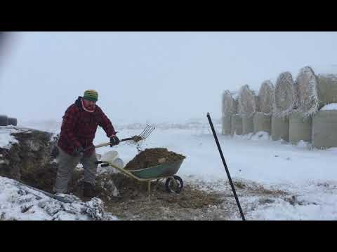 Видео: Смысл фермерства в условиях вечной зимы