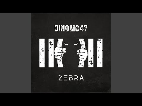 Видео: Зебра