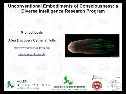Видео: Нетрадиционные воплощения сознания: программа исследования разнообразного интеллекта — Майкл Левин