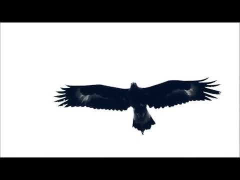 Видео: Турбат 2018 Нурлан Кадиров   Биіктік