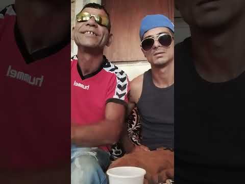 Видео: Торето и сакото 2024