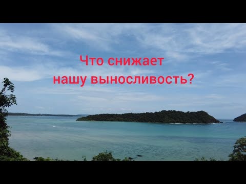 Видео: Что снижает нашу выносливость?