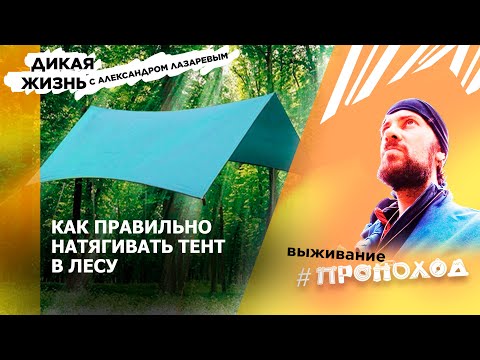 Видео: Установка тентов/Дикая жизнь/Выпуск 44