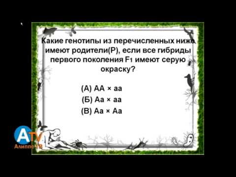 Видео: Предметный тест. Биология. Общая информация.