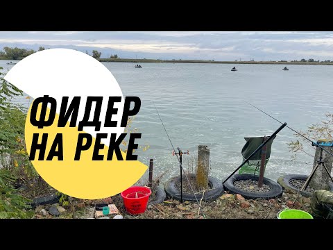 Видео: ОСЕННИЙ ФИДЕР НА РЕКЕ. ЛОВЛЯ РЫБЦА. РЫБАЛКА И ОТДЫХ В КРУГУ ДРУЗЕЙ!