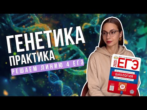 Видео: Как решать задачи линии 4 ЕГЭ по биологии | Биология с Ириной Евдокимовой