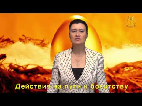 Видео: Лучшие действия на пути к богатству