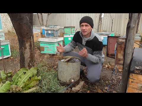Видео: Поилка для пчёл /Поилка для пчёл с подогревом