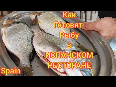 Видео: ОБЕД в ИСПАНСКОМ РЕСТОРАНЕ / РЫБА ЦЕНЫ ОБЗОР #spain 