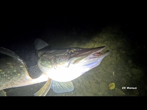 Видео: Вместо дивана с телевизором