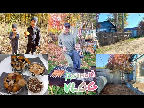Видео: Дачный VLOG🏡 Заболели и мы🤕Вот это я убралась 💪Жарим первые люля-кебаб😋Собираем грибы🍄