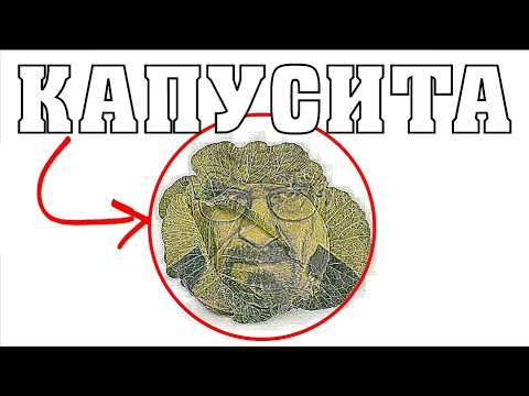 Видео: капусита.mp4