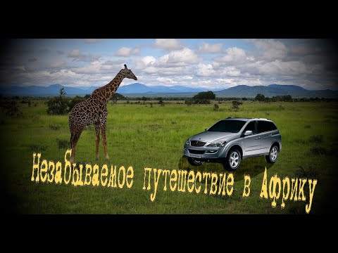 Видео: Незабываемое путешествие в Африку.