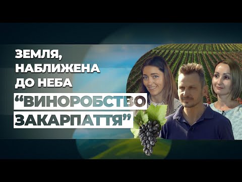 Видео: Земля наближена до неба "ВИНОРОБСТВО ЗАКАРПАТТЯ"
