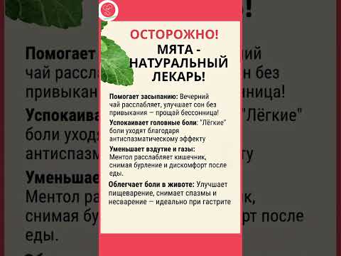 Видео: Мята -Натуральный лекарь для здоровья, сна и красоты! #здоровье
