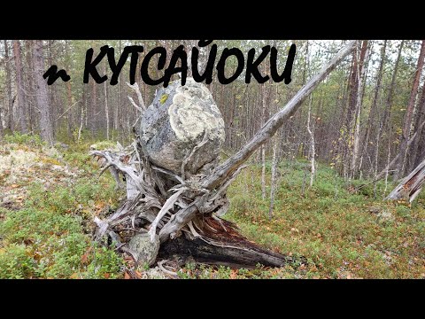Видео: Река Кутсайоки.Водопад "Маманя" (Большой Янискенгас).Рыбалка на форель, хариуса.Пязиваара. Алакуртти