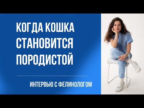 Видео: Интервью  с ветеринаром о породах кошек и кото психологии