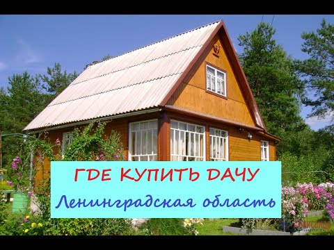 Видео: Санкт- Петербург Где купить дачу