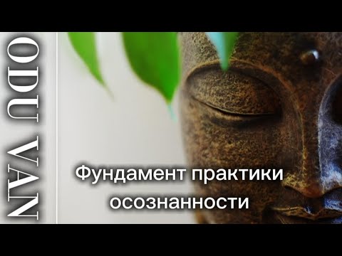 Видео: Odu Van: Медитативное состояние ума — фундамент любой практики осознанности.