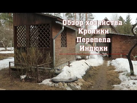 Видео: Обзор хозяйства. Кролики. Перепела. Индюки