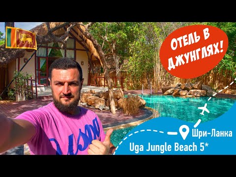 Видео: Uga Jungle Beach 5* Отель в Джунглях!