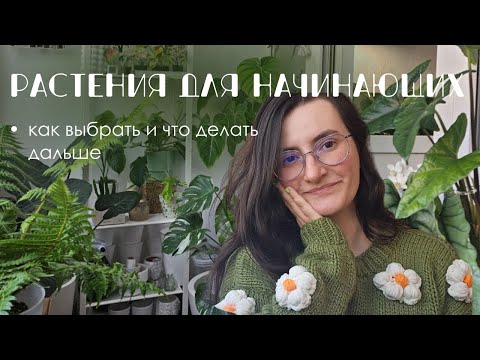 Видео: Комнатные растения для начинающих: советы по выбору и уходу.