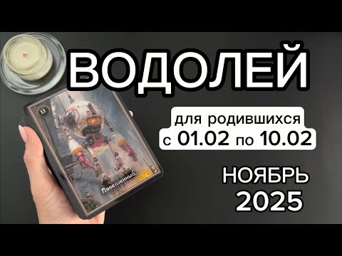 Видео: ВОДОЛЕЙ ♒️ прогноз на ноябрь 2025 для родившихся с 1.02 по 10.02