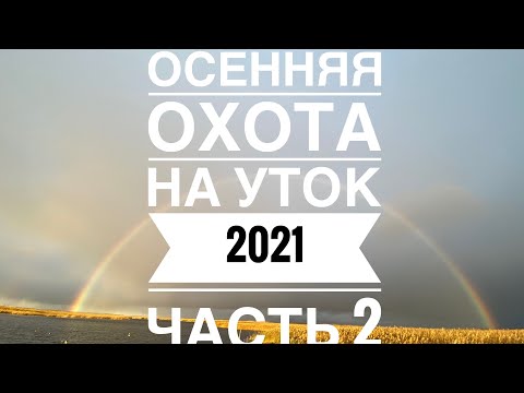 Видео: Осенняя охота на утку саргатский район омская область утка ушла часть 2